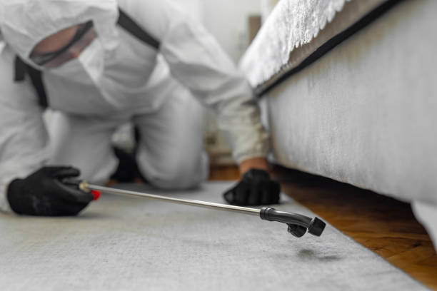 Professional Ant Control technician working in Rolling Hills, CA