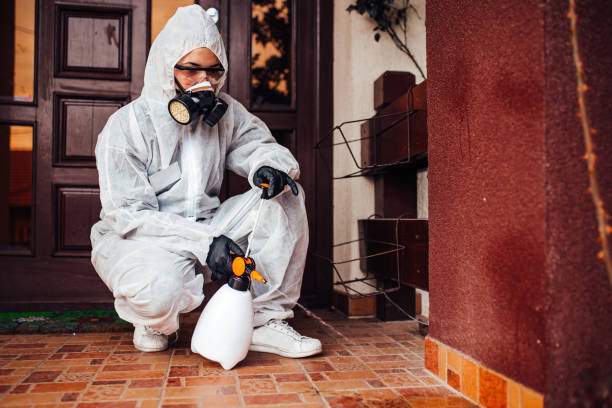 Reliable Ant Control contractor in Rolling Hills, CA by Show Me Pest Control